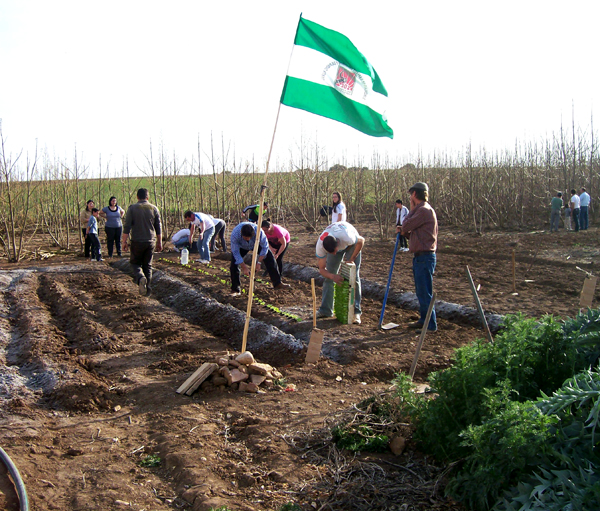 finca ocupada soc