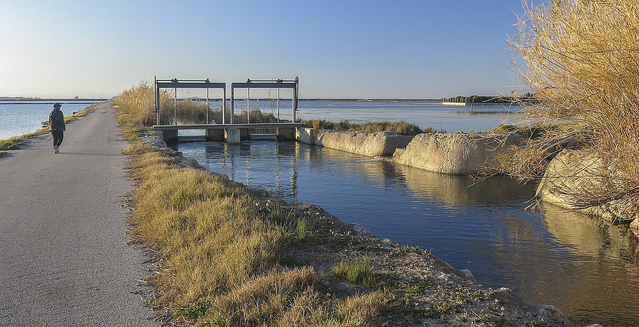 6. Séquia de Sant Llorenç Parc Natural de lAlbufera País Valencià