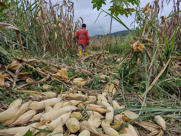 AgriculturaFamiliar 01