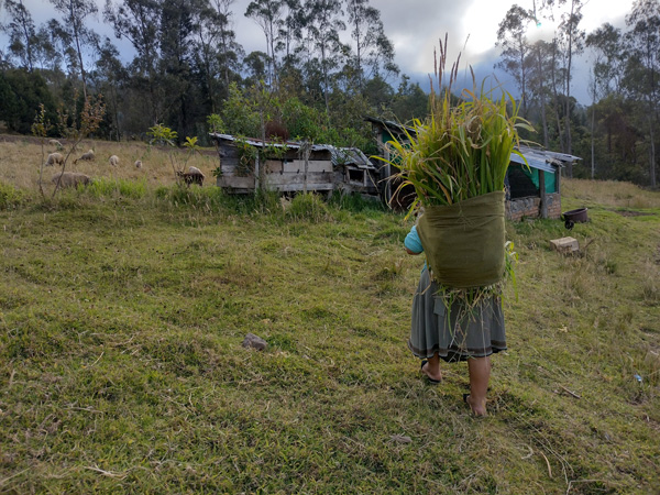 AgriculturaFamiliar 02