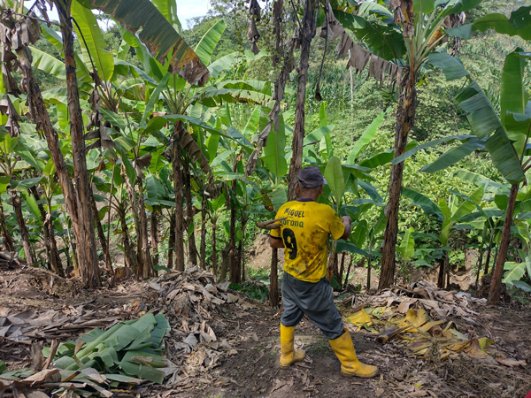 AgriculturaFamiliar 03