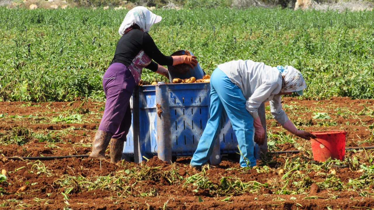 agricultura campesinos