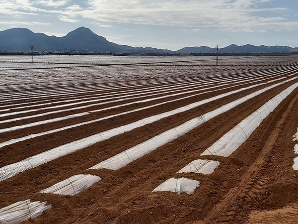 AgriculturaFamiliar 02