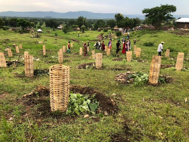 Agroecologia Africa01