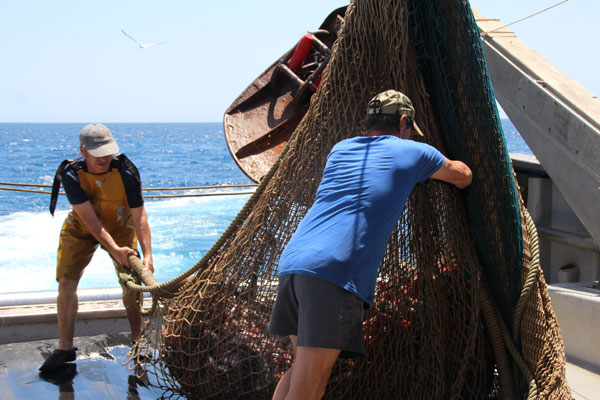 pescaturisme 05 aguedavitoria