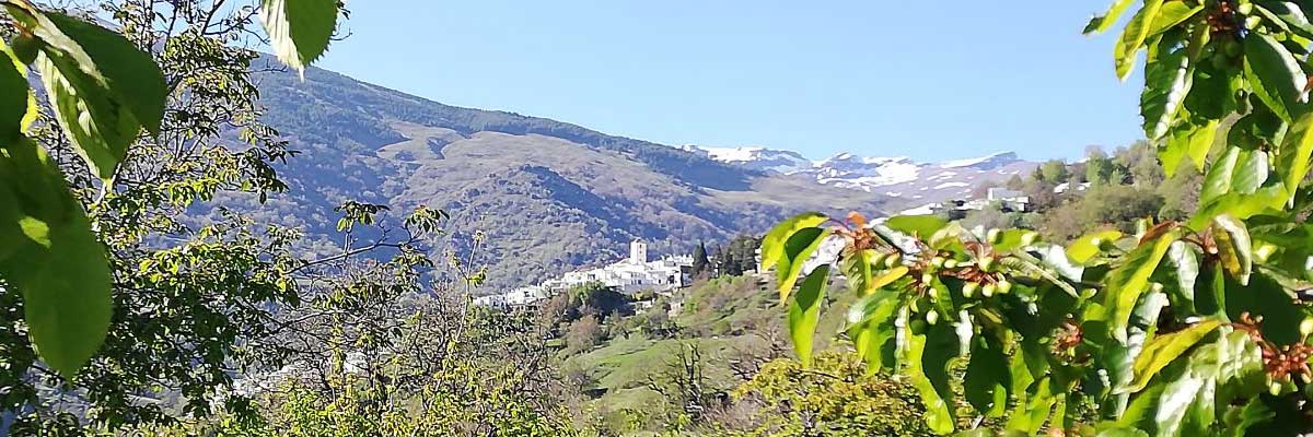 Alpujarras01