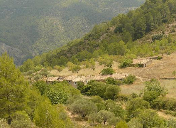 Barchel DEL LLIBRE POBLES ABANDONATS