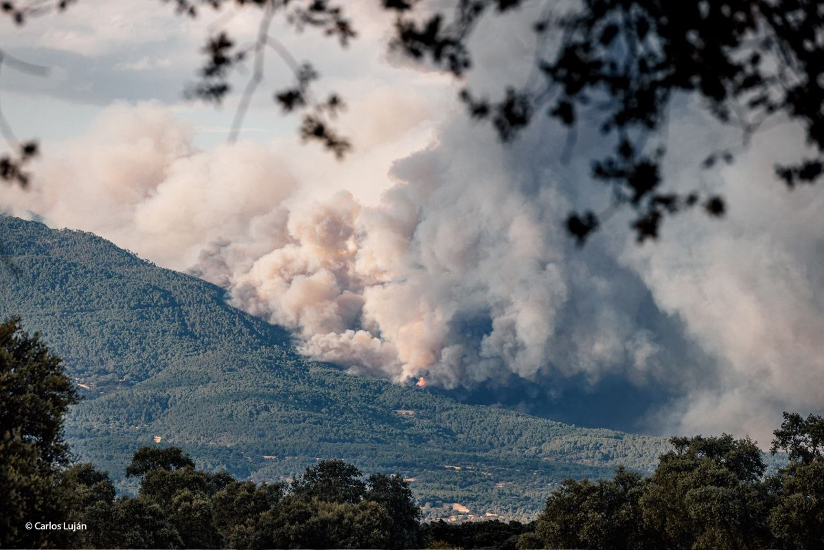 IncendioBurgohondo CarlosLujan