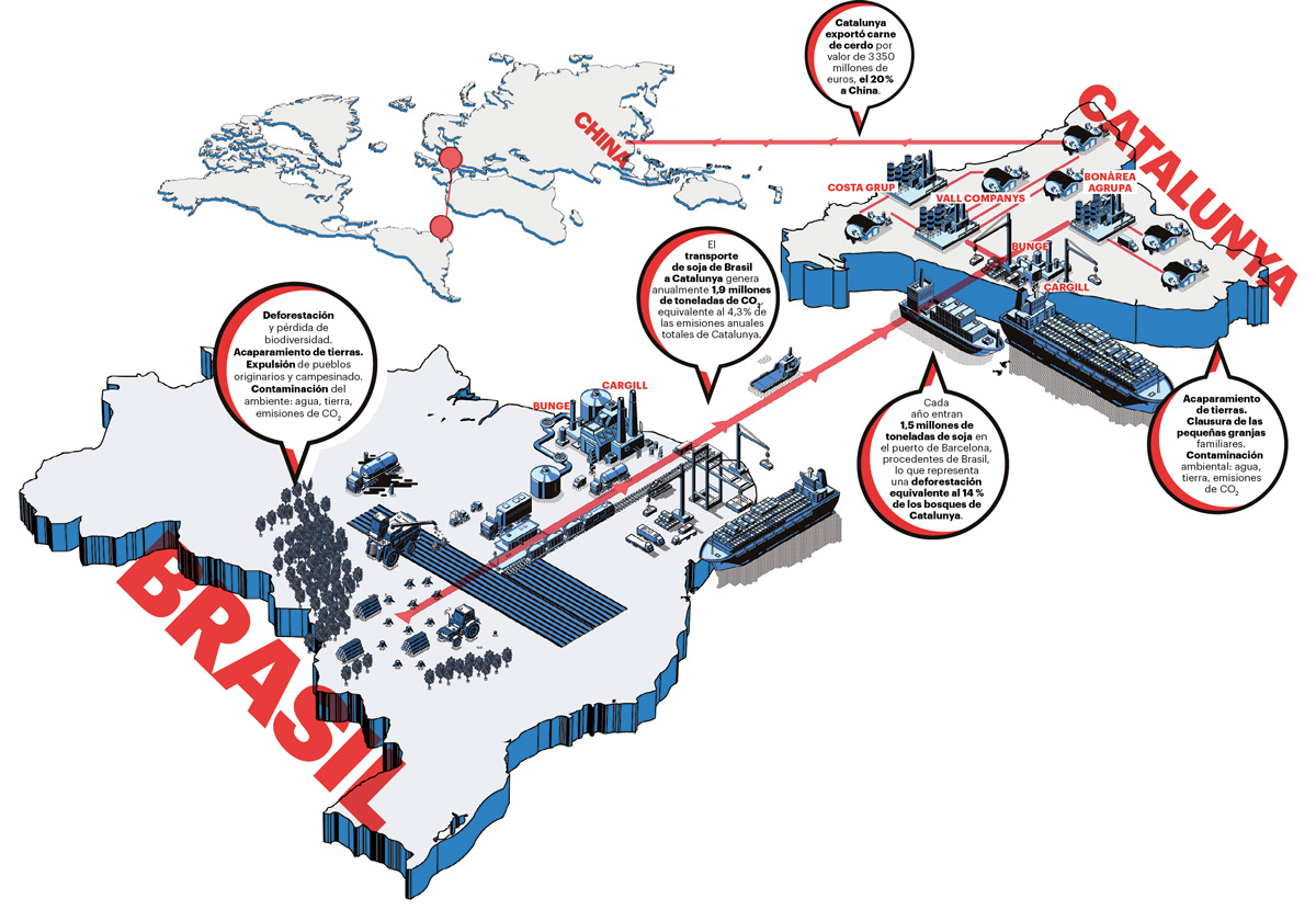 infografia soja