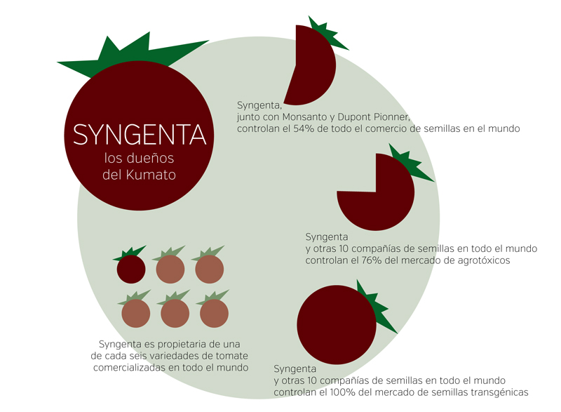 grafico kumato