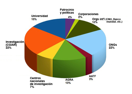 grafico 02