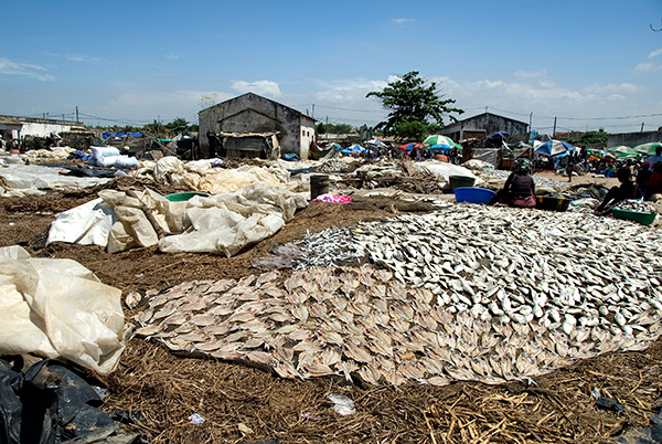 pescado al sol angola