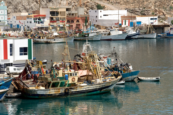 sardineros en un puerto del norte de marruecos copia