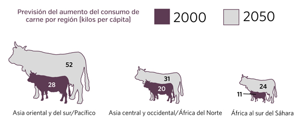 Resultado de imagen para Brecha tecnolÃ³gica ganaderÃ­a mundial FAO