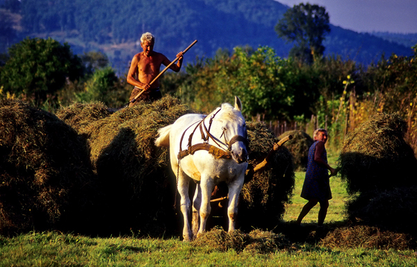 Agricultura campesina en Rumania04 Peter Lengyel