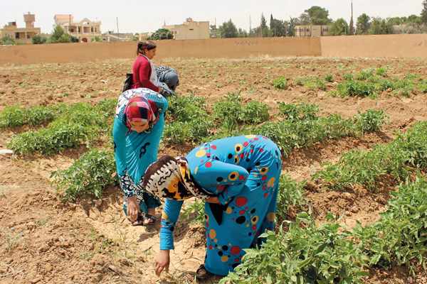 rojava03