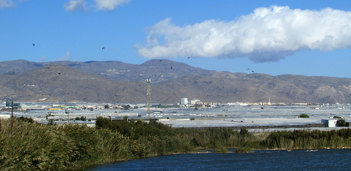 Almeria CarmenLopezZayas05