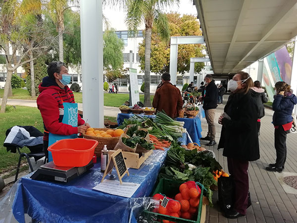 MercatUPV CERAI