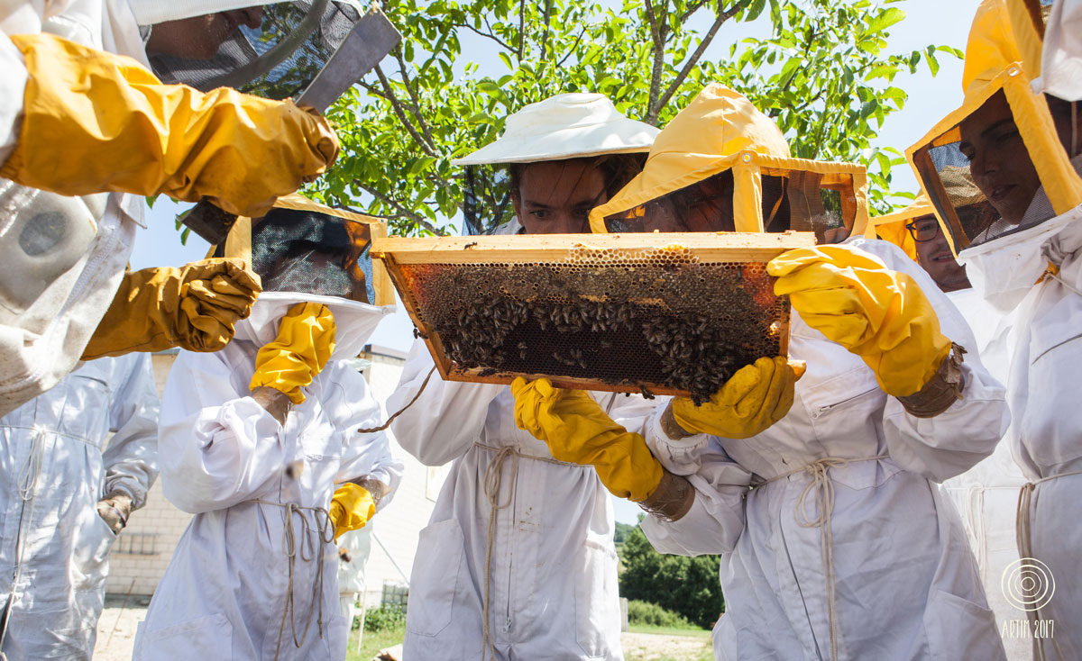 apicultura taller artim 2020