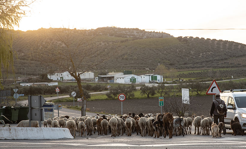 48Agricultura 4.02