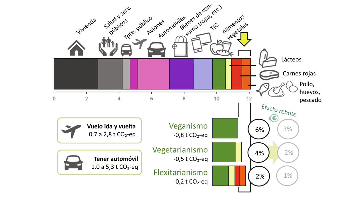 7 Grafico