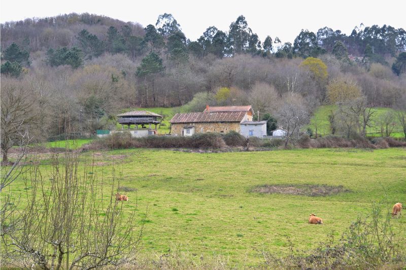 52 SalvadorVidalina ADES02