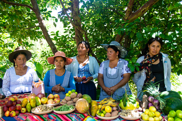 53 Agricultoras de Anzaldo