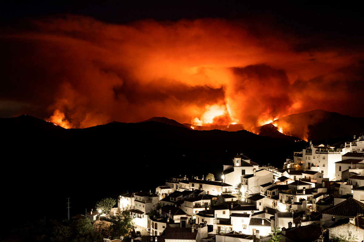 53 PalabraCampo Sara Cazorla