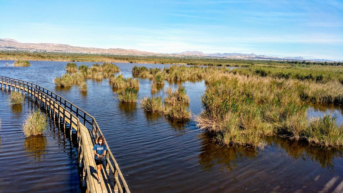 Parque Natural del Fondo d’Elx-Crevillent