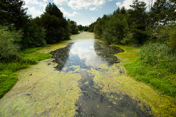 54 502 ConceyuIgnacioAbella