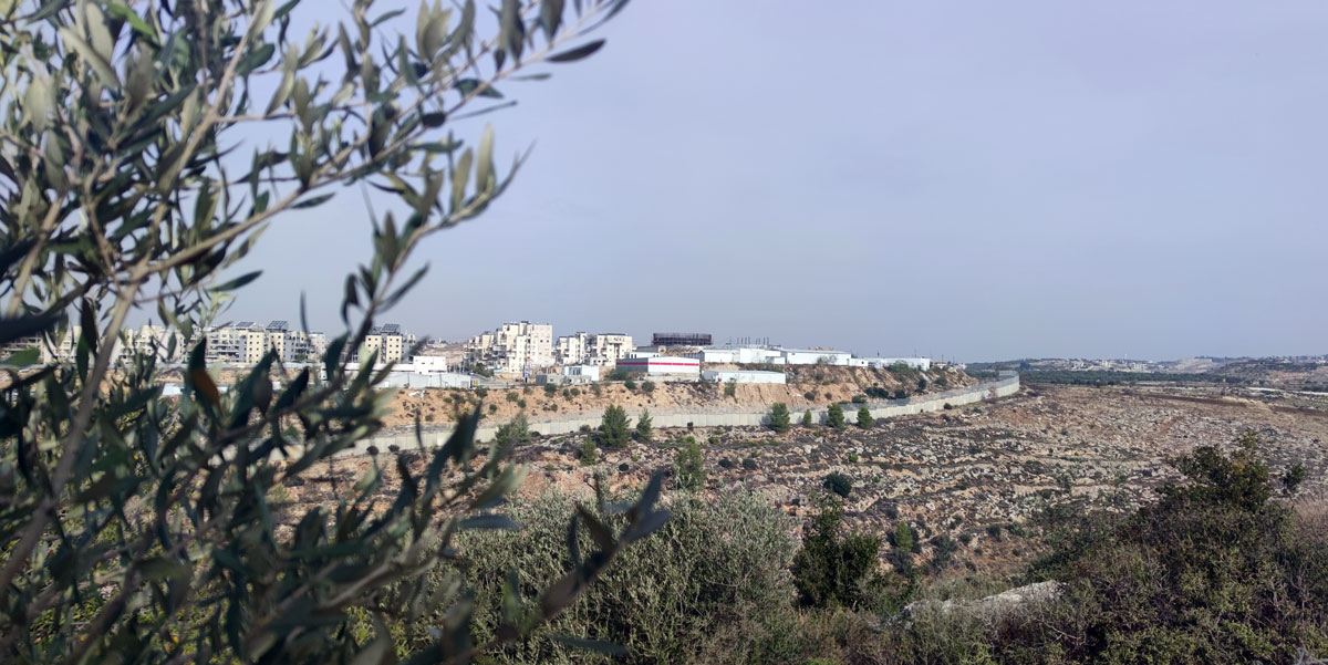 55 10 Om sleiman muro