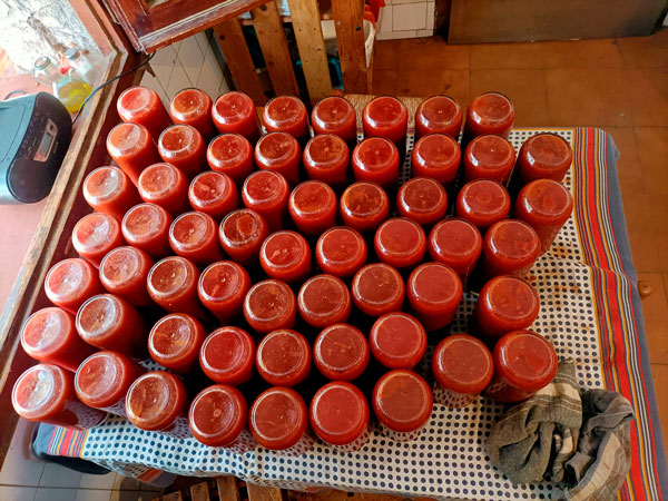55 CalCases2