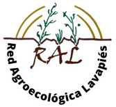 lavapies